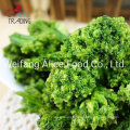 Best Price Crispy Snack Vacuum Fried Broccoli